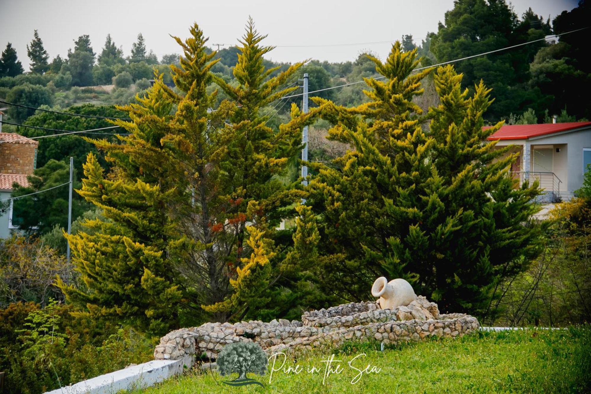 Pine In The Sea Nikiti-Sithonia Appartement Buitenkant foto